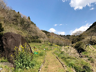 山田川自然の里（三島市）