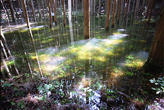 水窪地区（浜松市天竜区）