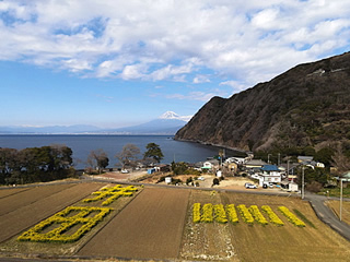 夢むら井田（沼津市）