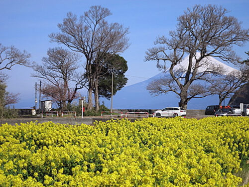 夢むら井田（沼津市）