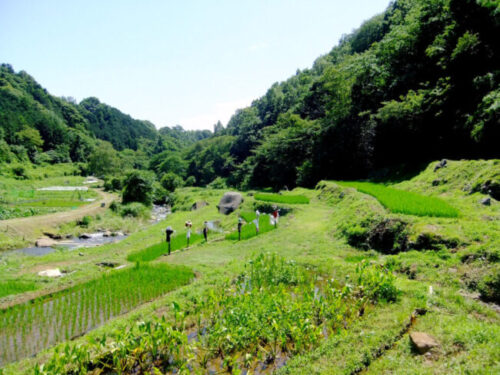 山田川自然の里（三島市）