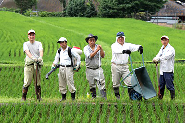 いずのやね茅野（伊豆市）