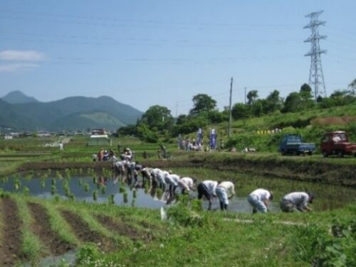 縄文の里「おおしか幸区」（富士宮市）