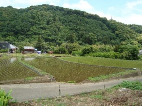 上佐ヶ野地区農地・水・環境保全会（河津町）