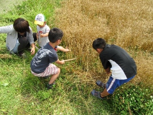 小園美農里会（藤枝市）