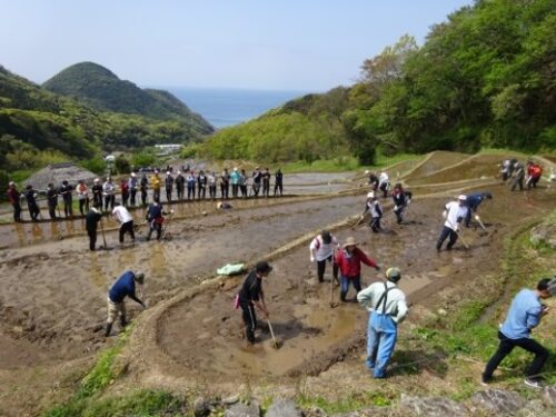 石部棚田・里山を守る会（松崎町）