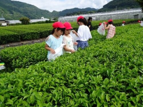 神座鵜網環境美化の会（島田市）