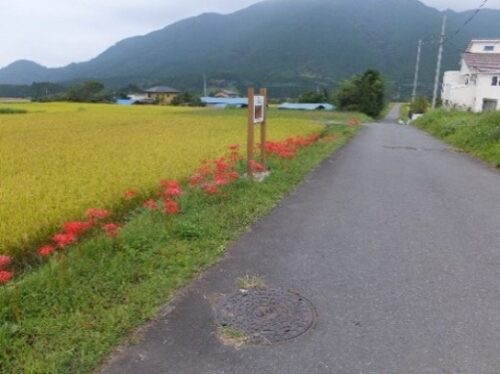 天子ヶ岳の郷保存の会（富士宮市）