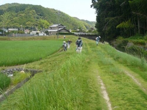 アグリ大津（島田市）