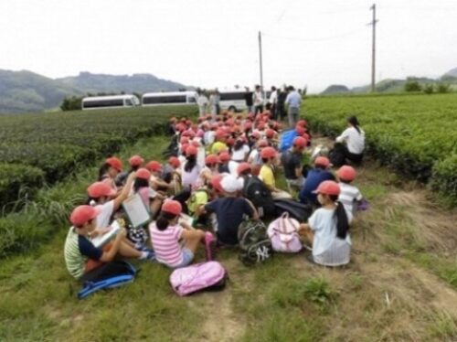 花の吉原緑の会（静岡市）