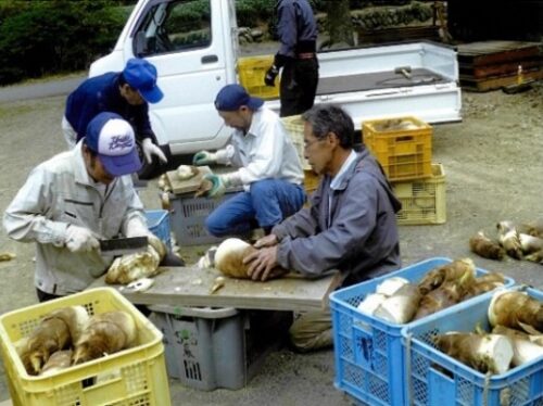 布沢地域資源保全隊（静岡市）