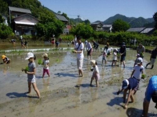 まりこ里山保全会（静岡市）