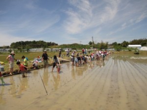 ５月15日（日）【浜松市西区】ゆうとうやら米か　田植え体験参加者募集！【先着20組】