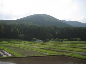 ５月３日（火）伊豆市　美しく品格のある邑「いずのやね茅野」　棚田で田植え体験募集！【手作りピザ焼き体験】