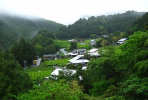 5月22日（日）【島田市川根町】　大井川流域　里山暮らし体験プログラム　『お茶の村のいちにち』