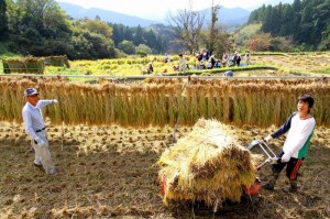 10月22日（土）【浜松市北区】日本の棚田100選「久留女木の棚田」で稲刈り体験【『しずおか棚田・里地くらぶ』要申込み！】　【募集】