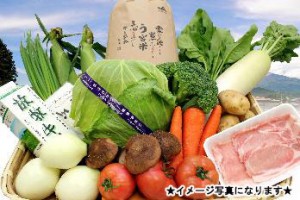 【JA富士宮】ファーマーズマーケット「う宮～な」　 今月の厳選食材セット特盛！