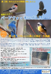 1月21日（土）22日（日）【川根本町】「野鳥でGO‼　バードウォッチング入門（全４回）　第１回　冬鳥編（募集締め１月１３日（金））