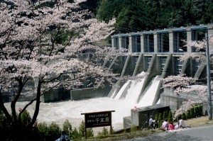 H29.4.2.AkihaDamSakuraMatsuri.1600