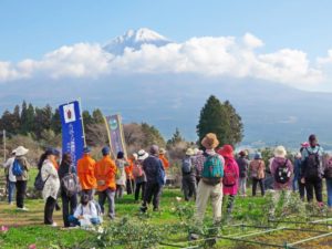 【富士宮市】参加無料！秋の平成棚田をあるこう♪