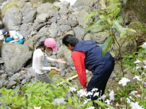 【川根本町】親子野遊び教室　冬の越冬昆虫観察　入門編