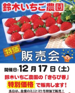 【南伊豆町】南伊豆湯の花、「いちご特価販売会」開催！〈ふじのくに美しく品格のある邑「日野 元気な百姓達の里」〉