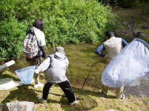 【川根本町】「親子野遊び教室　春の昆虫観察　入門編」を開催します！