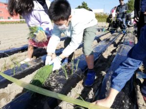 【浜松市西区】あったか農場「たまねぎ植え付け体験」in 篠原