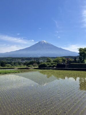 【富士宮市】田んぼの水面に映る逆さ富士！