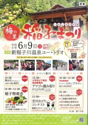 【富士宮市】「芝川日和 梅の里 稲子まつり」が開催されます！