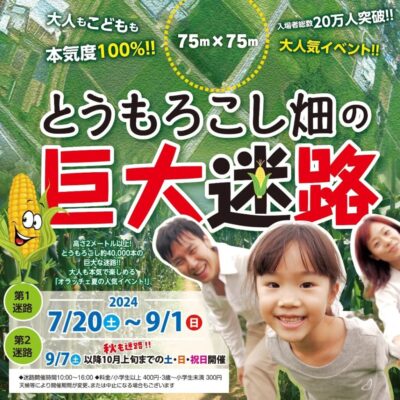 【函南町】オラッチェ「とうもろこし畑の巨大迷路」開催！