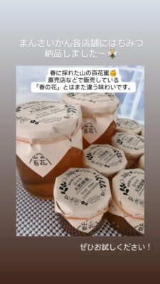【島田市】シリポッケ養蜂園 　季節のはちみつ販売中！！