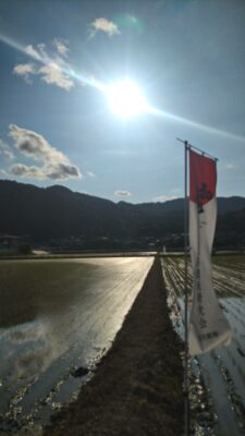 【藤枝市】初亀酒米の田園風景