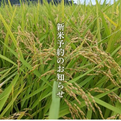 【吉田町】どんぐり農園　新米予約のお知らせ