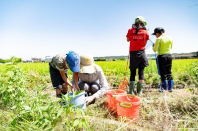 【掛川市】「田んぼの生き物探検隊」開催します！