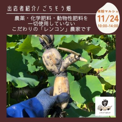 【焼津市】米粉マルシェin焼津ポーターズ