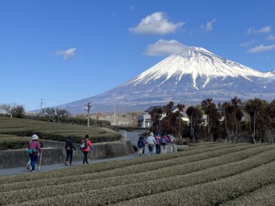 【富士市】月いち〈自然発見！ノルディックウォーキング〉1月は“大淵笹場”で開催します！