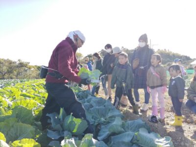 【浜松市中央区】あったか農場 雄踏の畑で「冬野菜」を収穫しよう！